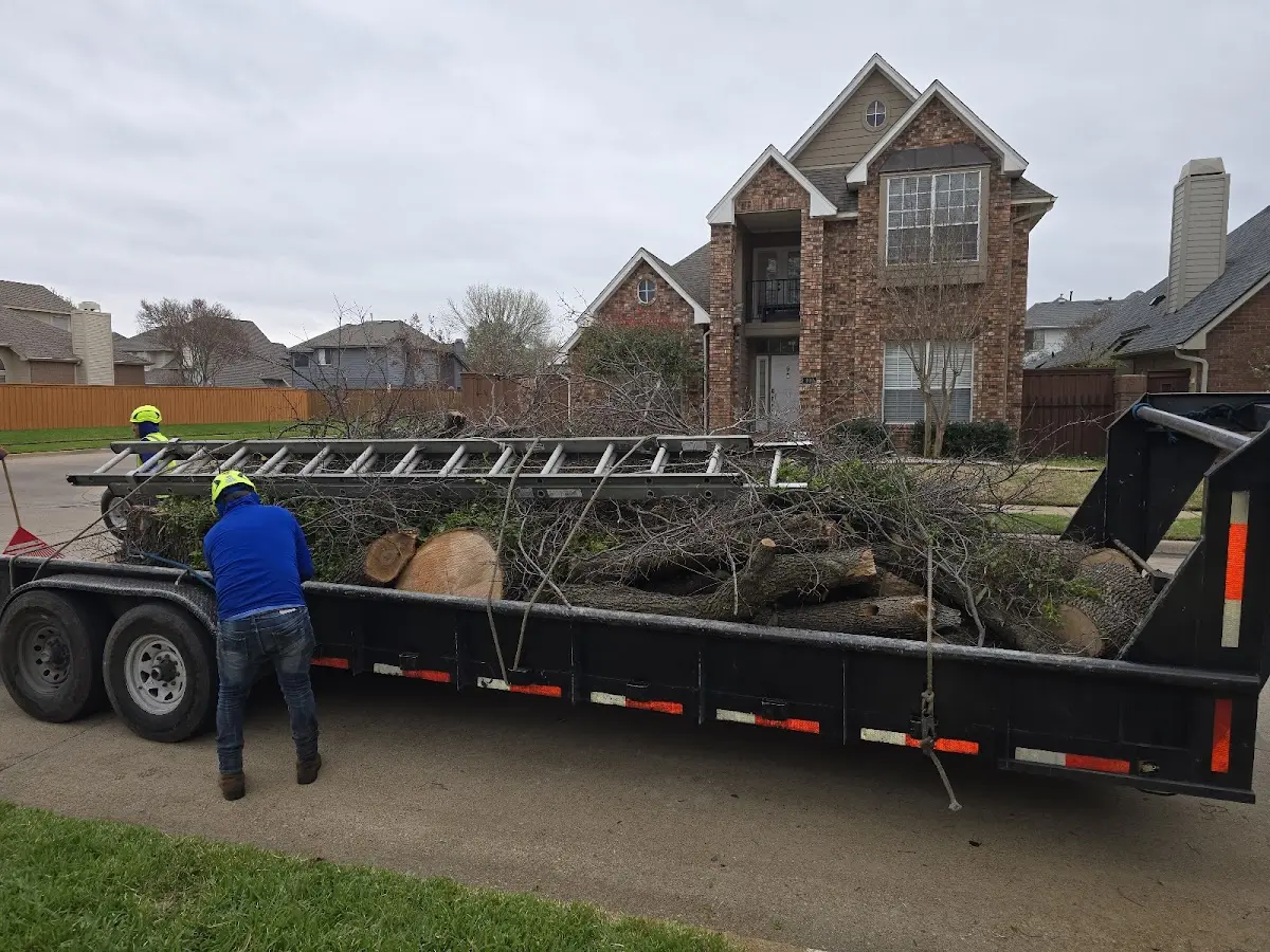 Expert Tree Fertilization with proper safety equipment in Ogden